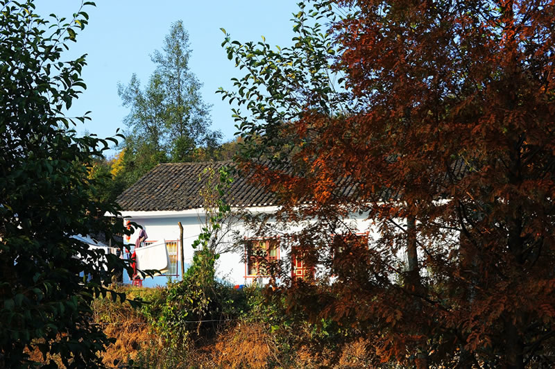 張家界夢(mèng)帕客棧 天子山店