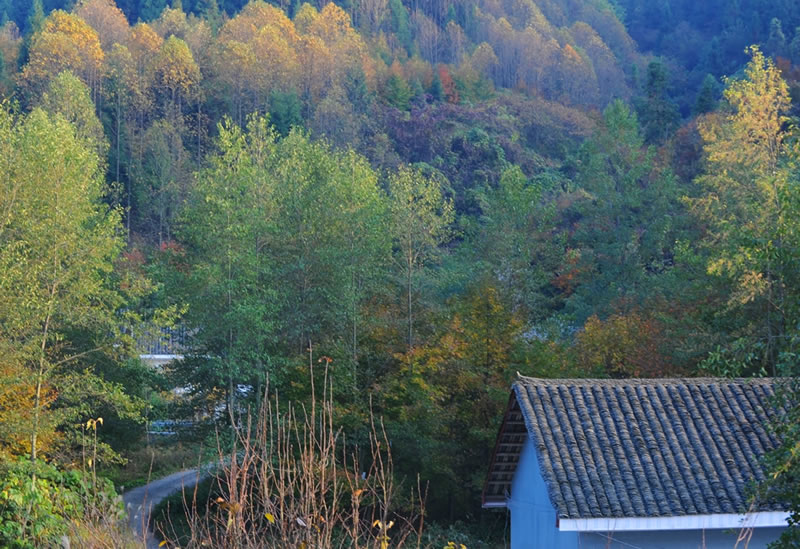 張家界夢(mèng)帕客棧 天子山店